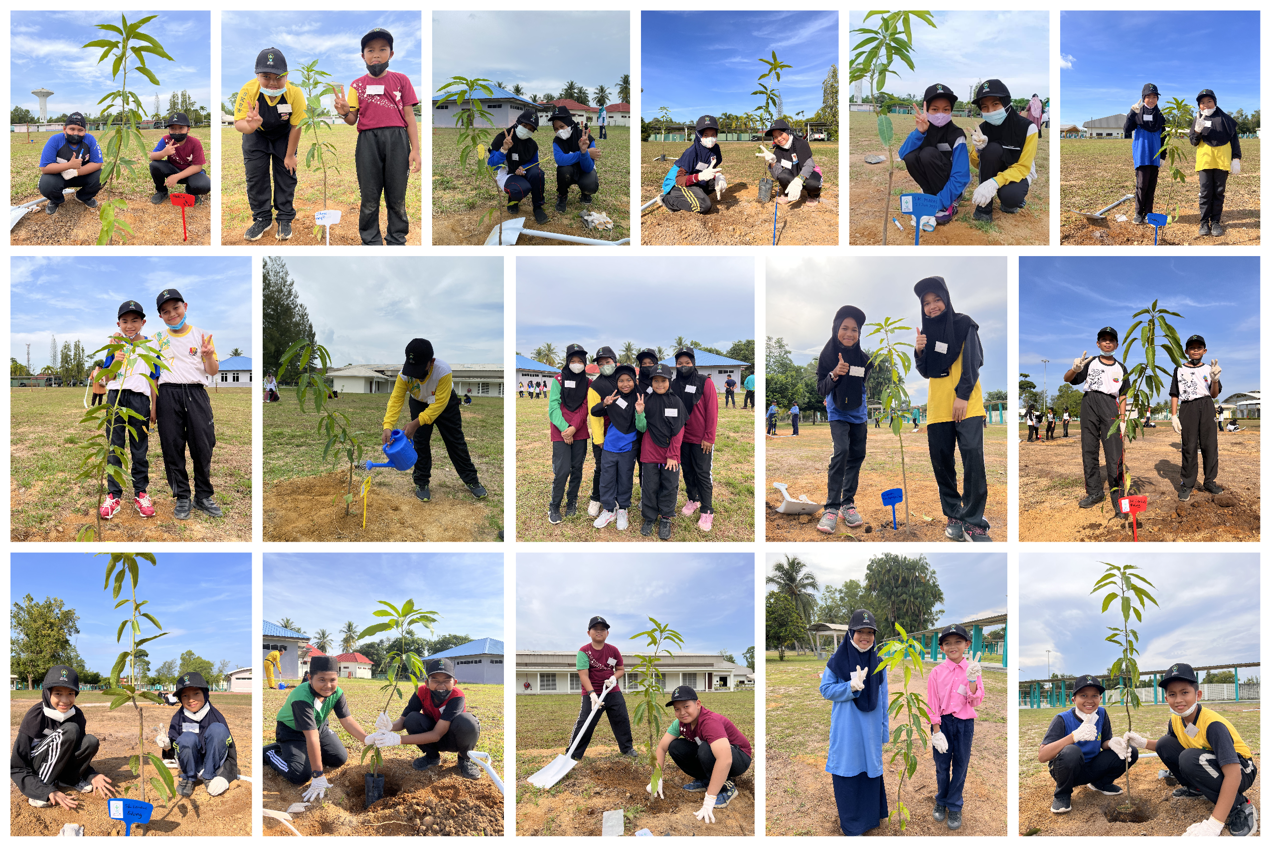 INSTEP Fosters Environmental Awareness Among Younger Generation