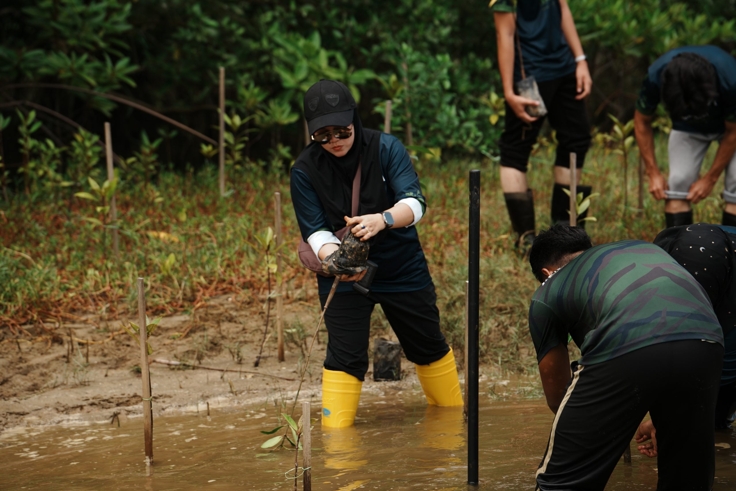 INSTEP Strengthens Environmental Stewardship with 100 Mangrove Trees at Taman Negeri Setiu Wetlands